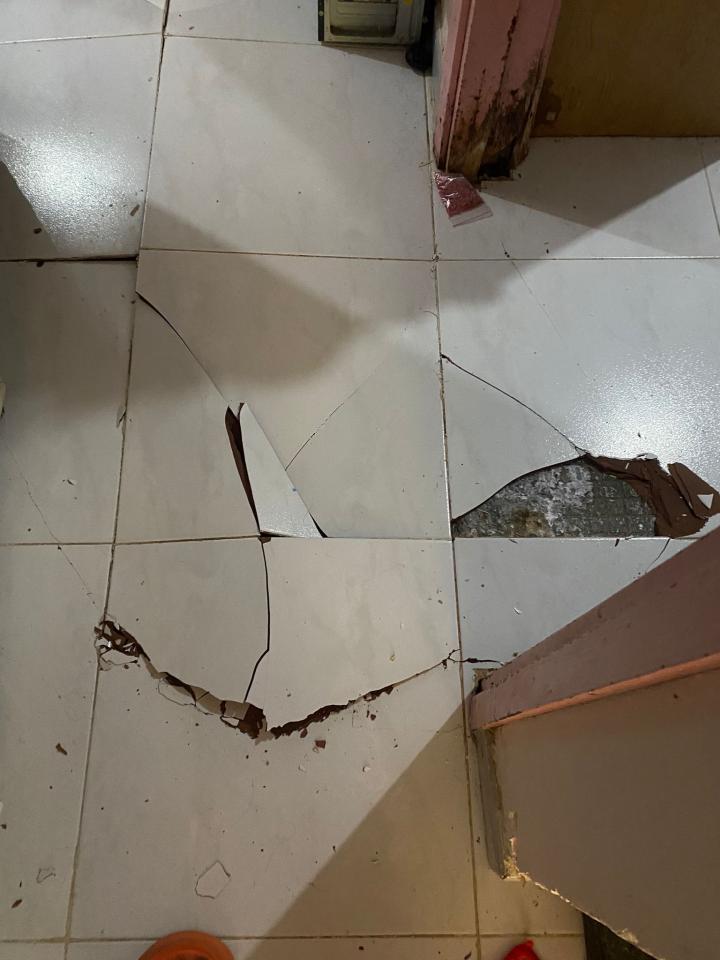 Flooring RepairJob photo