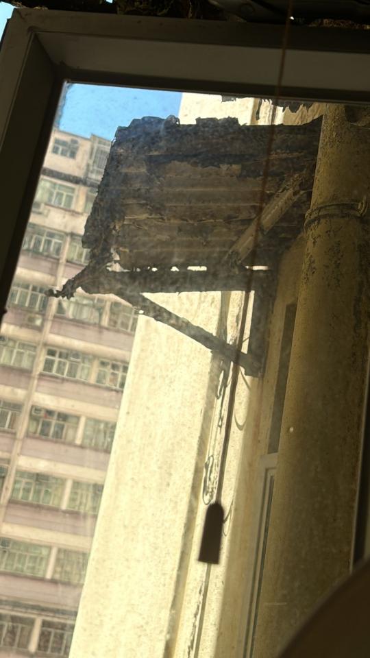 清拆工程工作照片