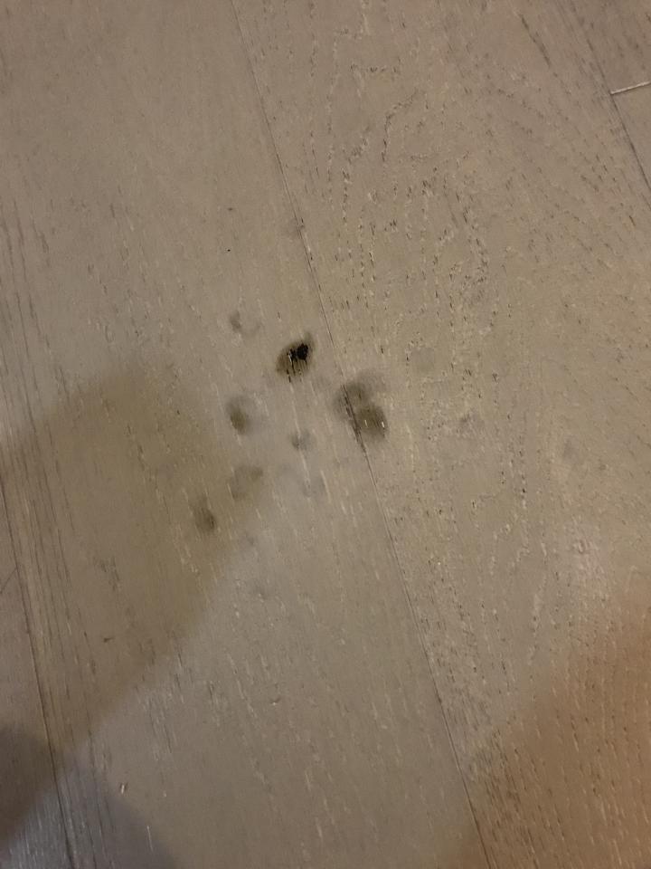 Flooring RepairJob photo