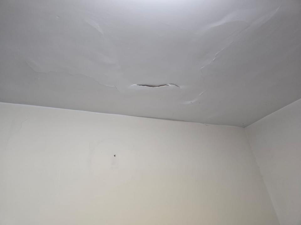 Wall PaintingJob photo