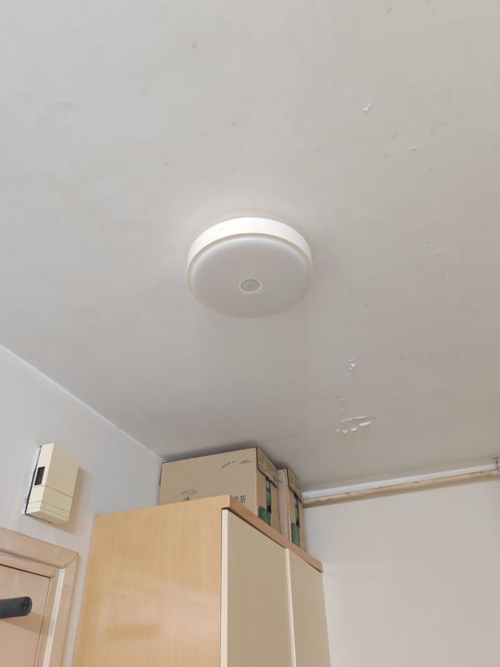 燈飾安裝工作照片