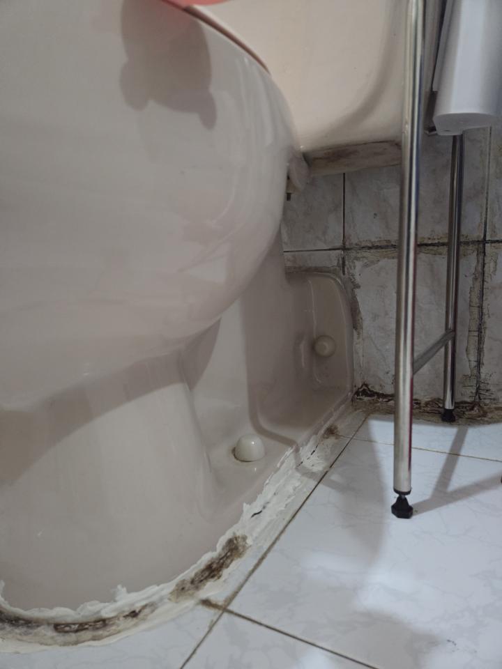 Toilet Installation & RepairJob photo