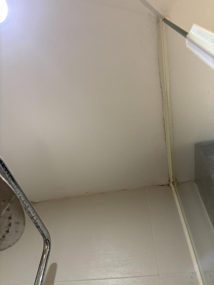 Wall PaintingJob photo