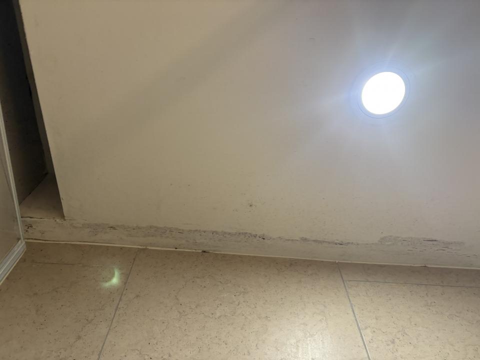 Wall PaintingJob photo