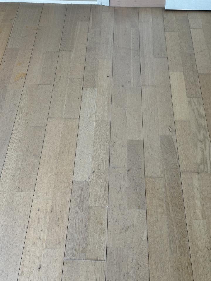 地板拋光打蠟工作照片