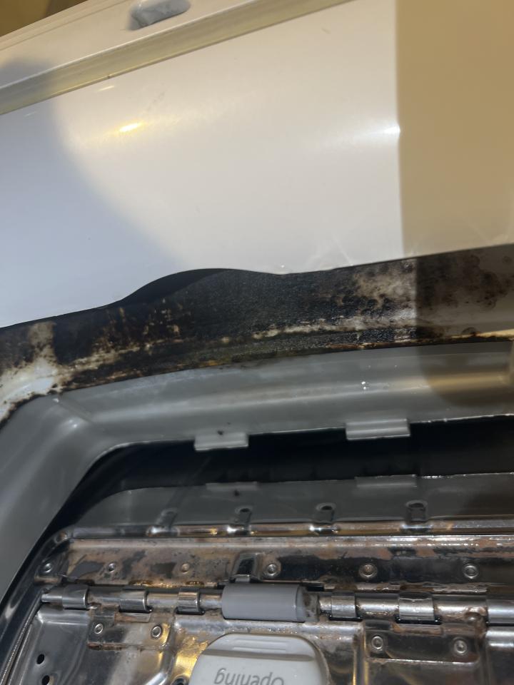 洗衣機清洗工作照片