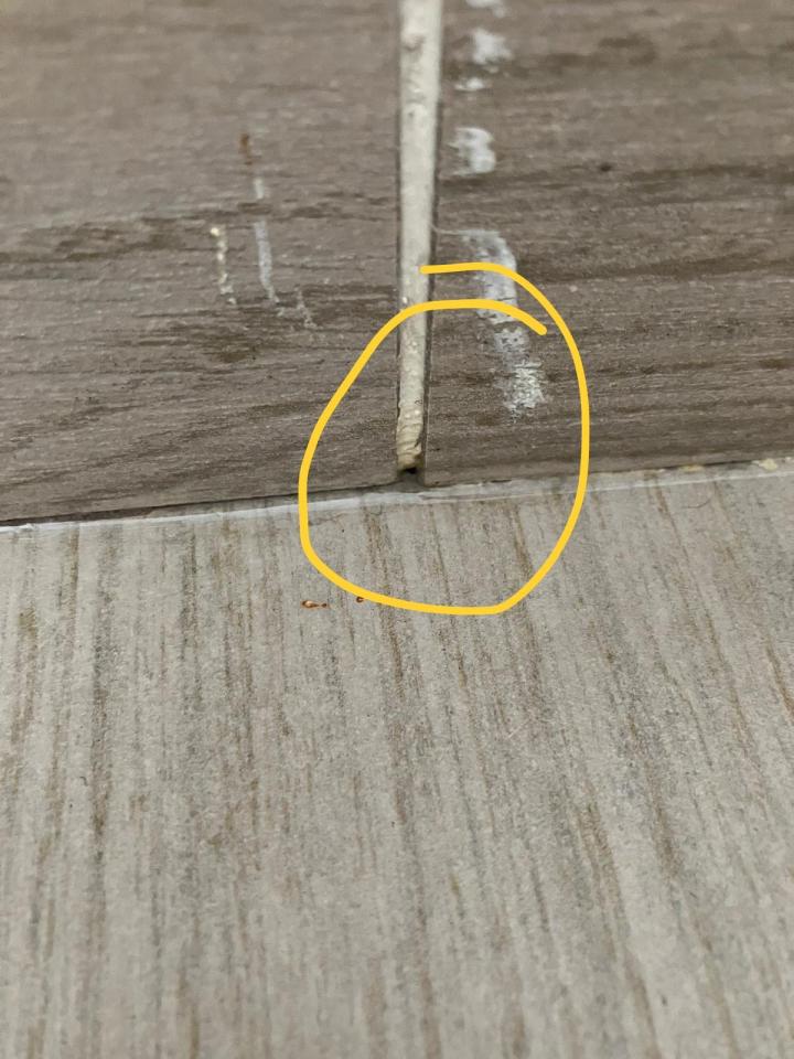 漏水維修工作照片