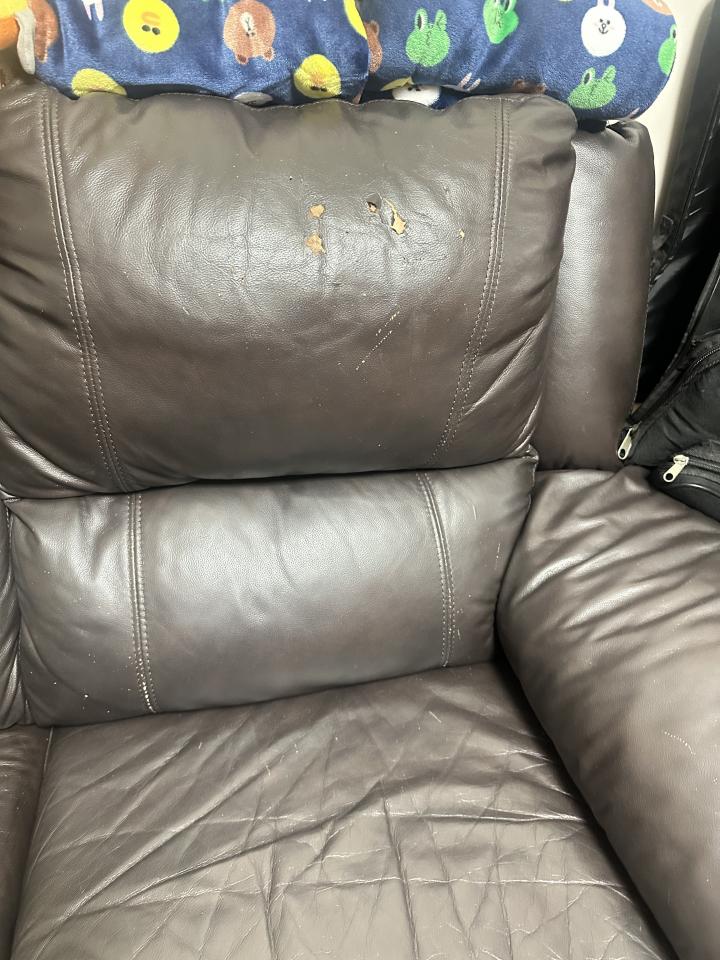 梳化清潔工作照片