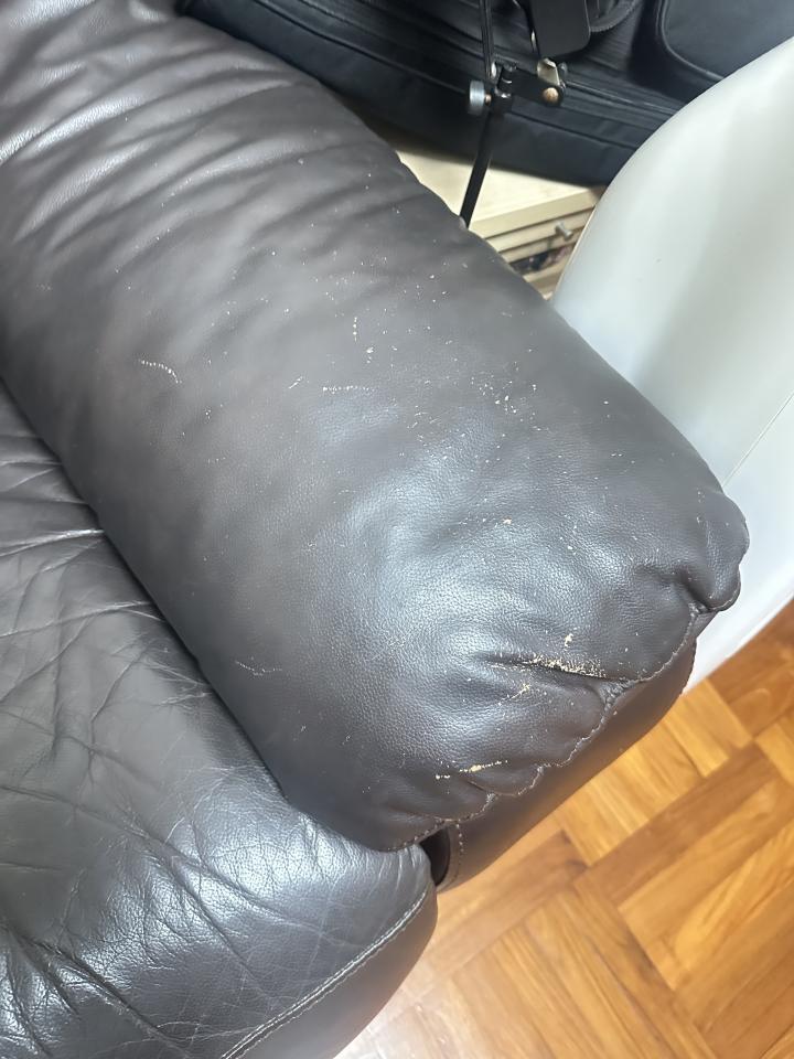 梳化清潔工作照片