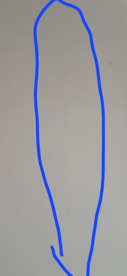 牆紙工程工作照片