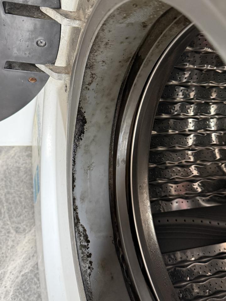 洗衣機清洗工作照片