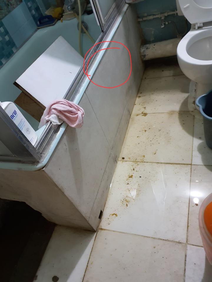 清拆工程工作照片