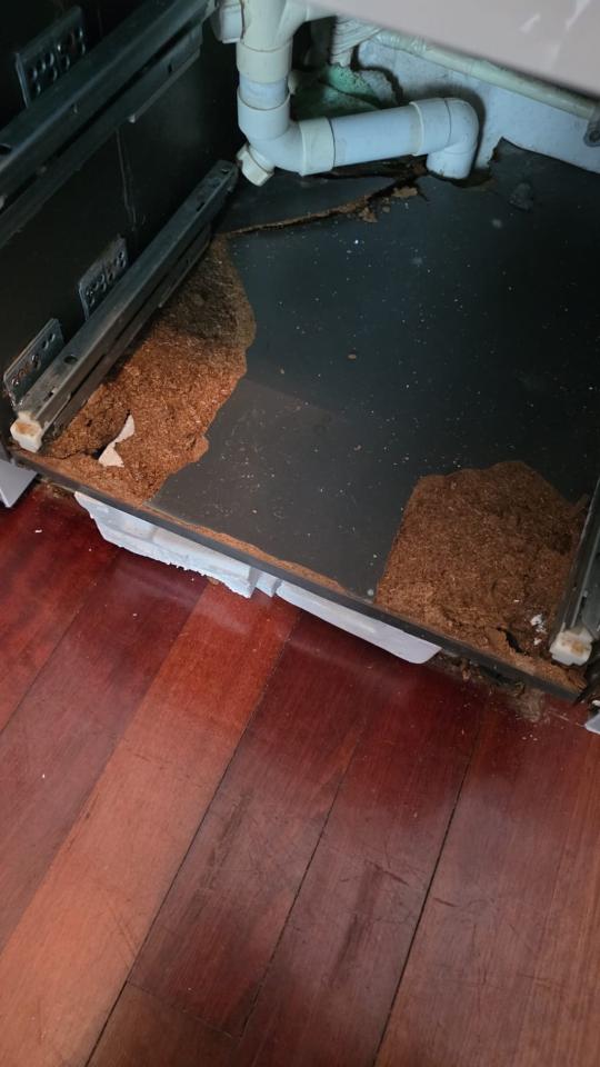 水電工程工作照片