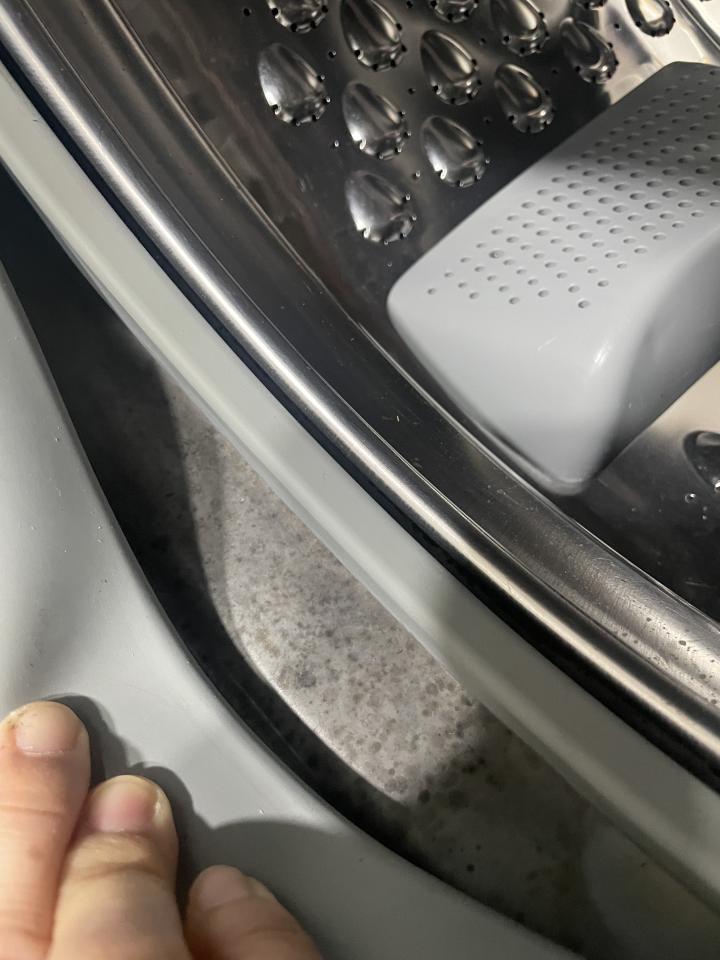 洗衣機清洗工作照片