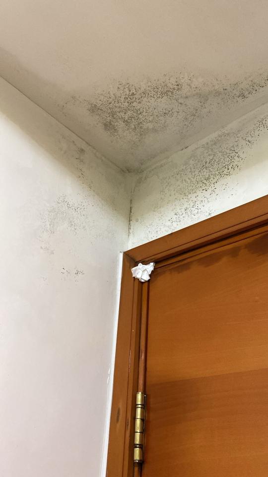 水喉水務工作照片