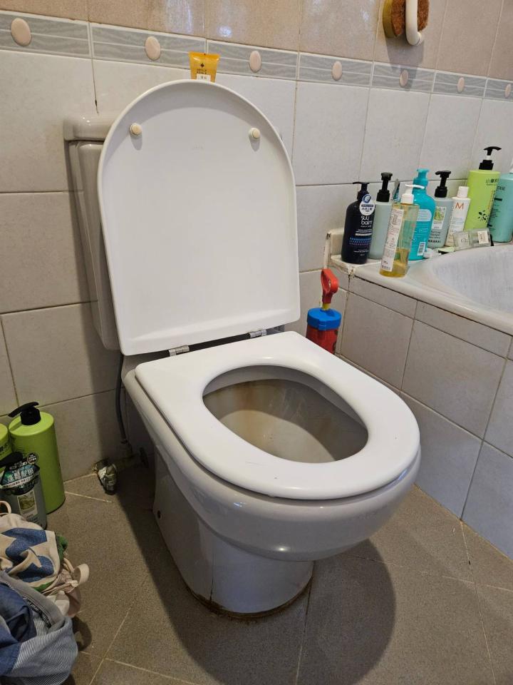 馬桶安裝工作照片