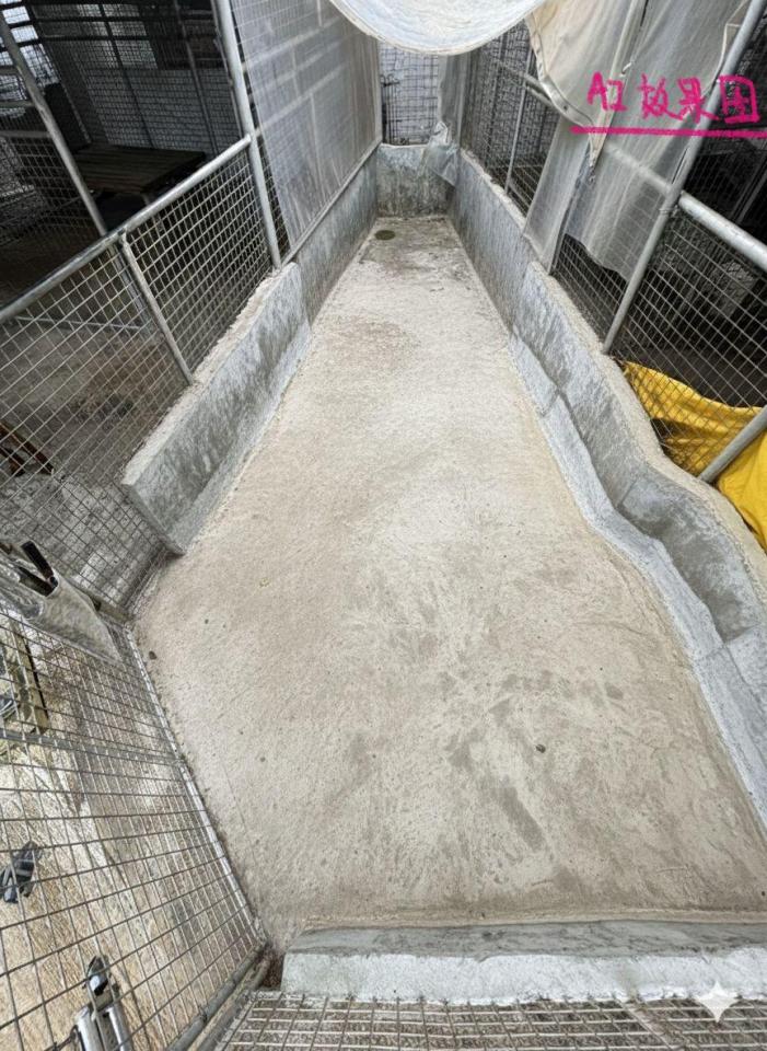 清拆工程工作照片