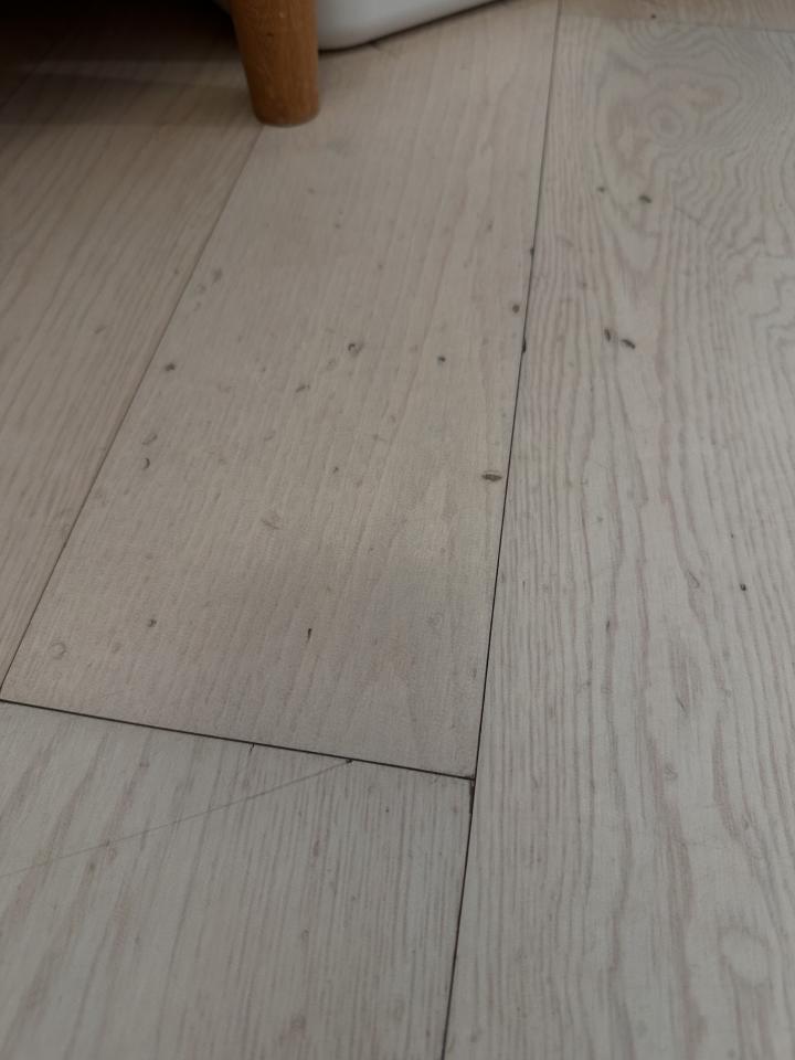 木地板打磨翻新工作照片