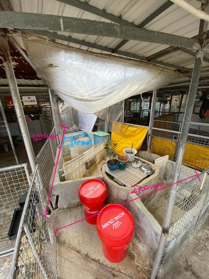 清拆工程工作照片