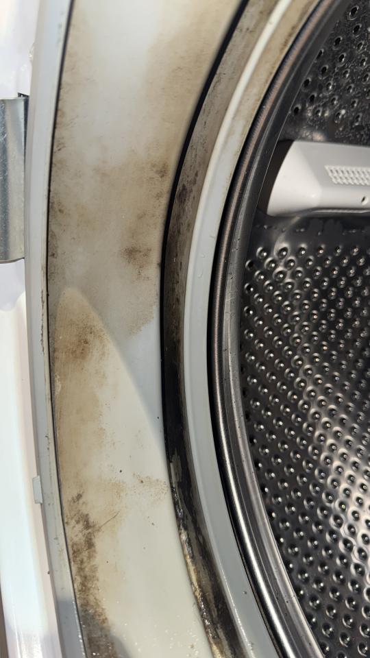 洗衣機清洗工作照片