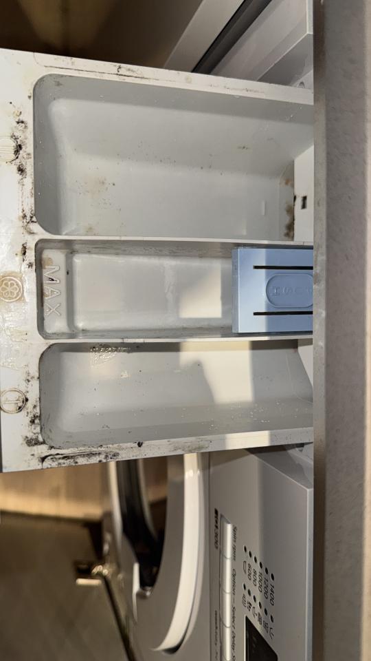 洗衣機清洗工作照片