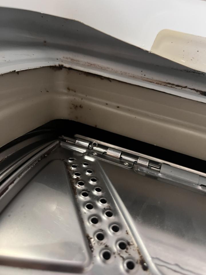 洗衣機清洗工作照片