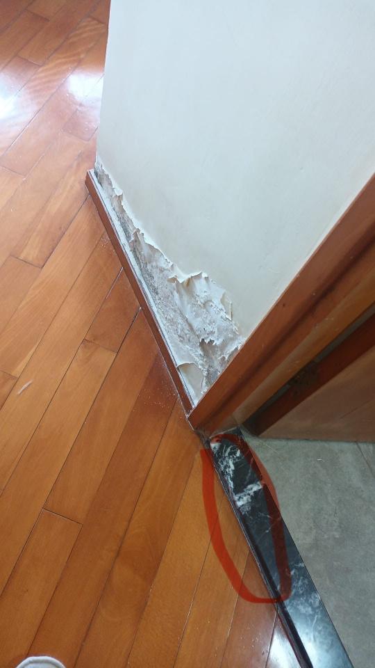 漏水維修工作照片