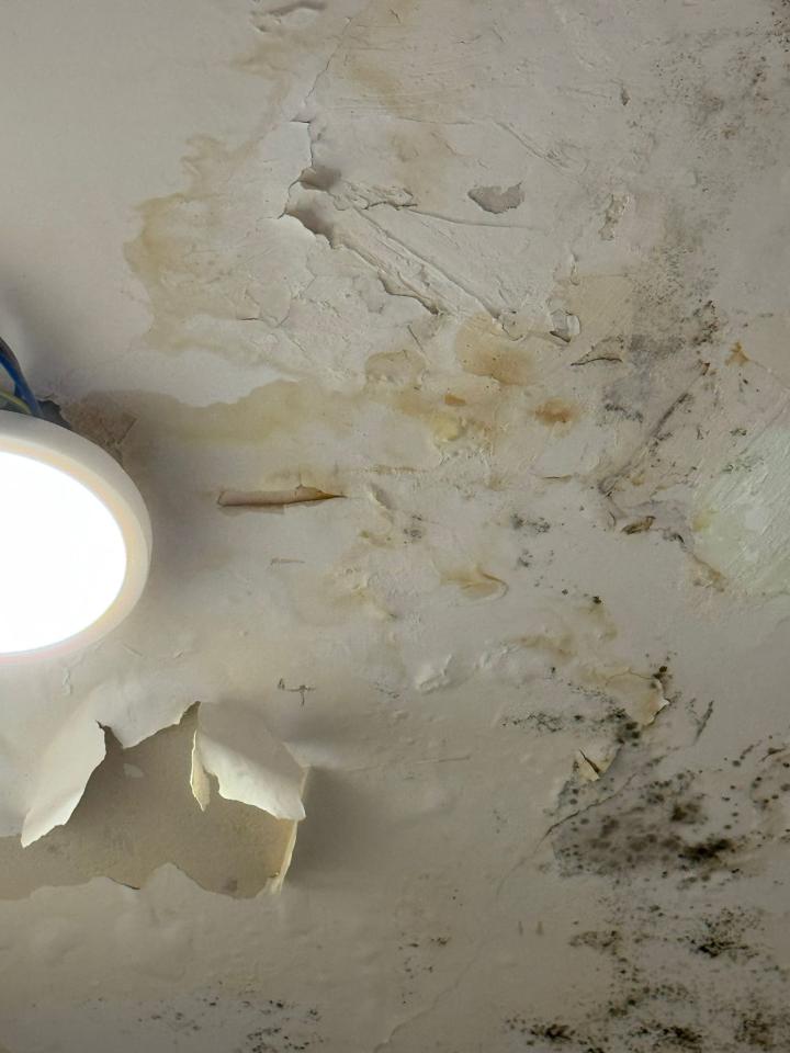 漏水測試工作照片