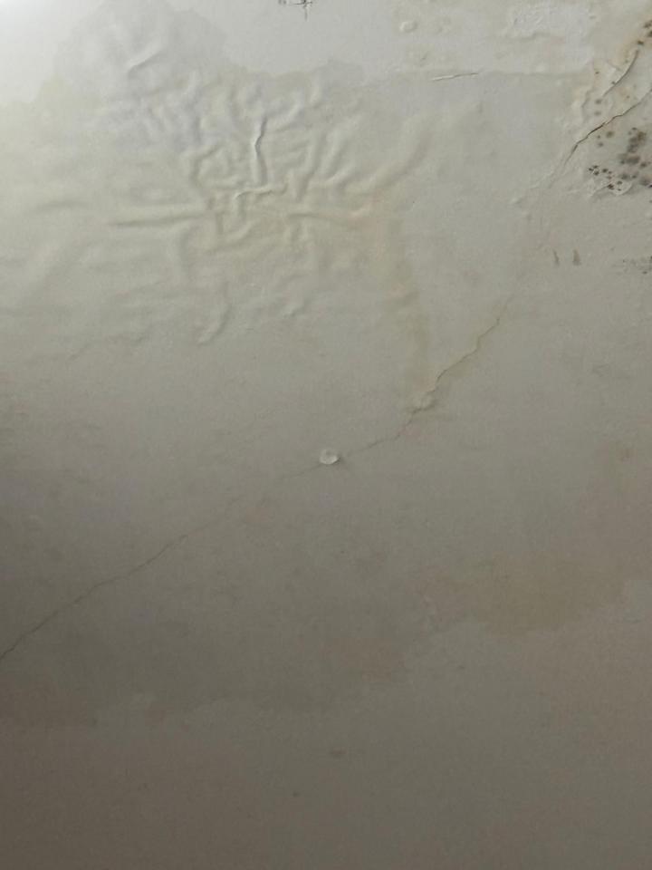 漏水測試工作照片