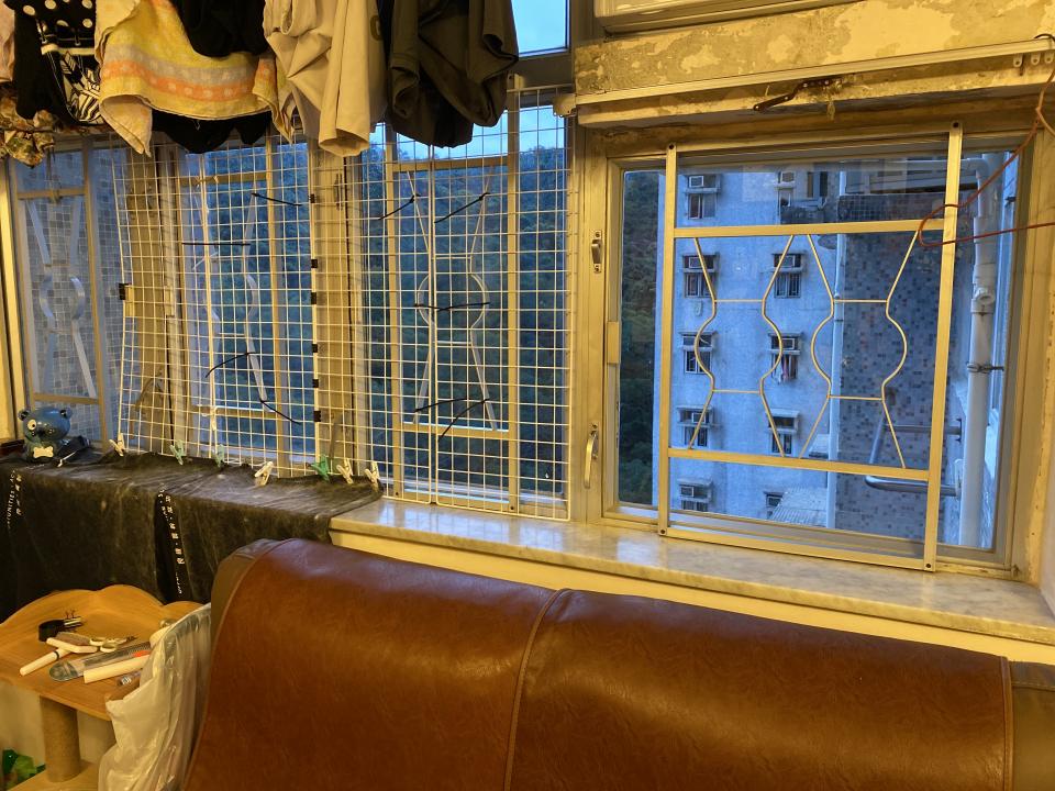 貓網安裝工作照片