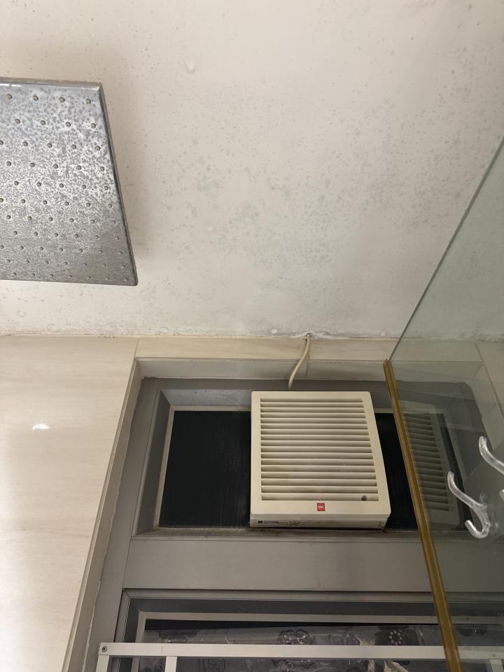 Mold RemovalJob photo