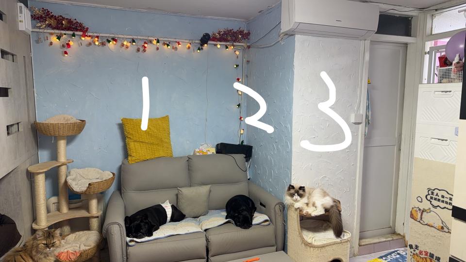 油漆工程工作照片