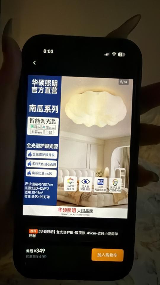 燈飾安裝工作照片