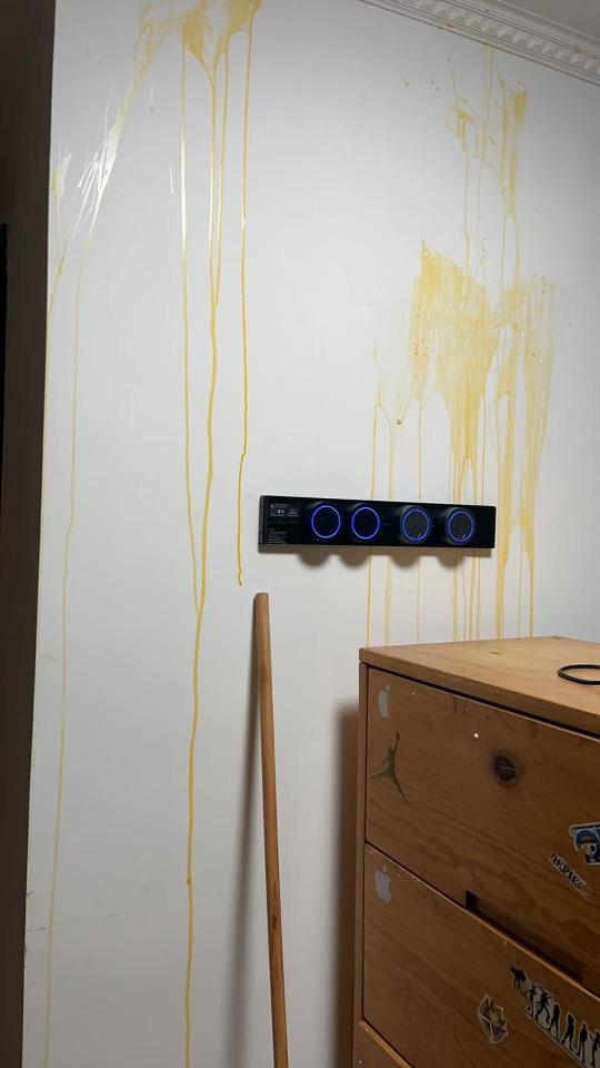 Move-in CleaningJob photo