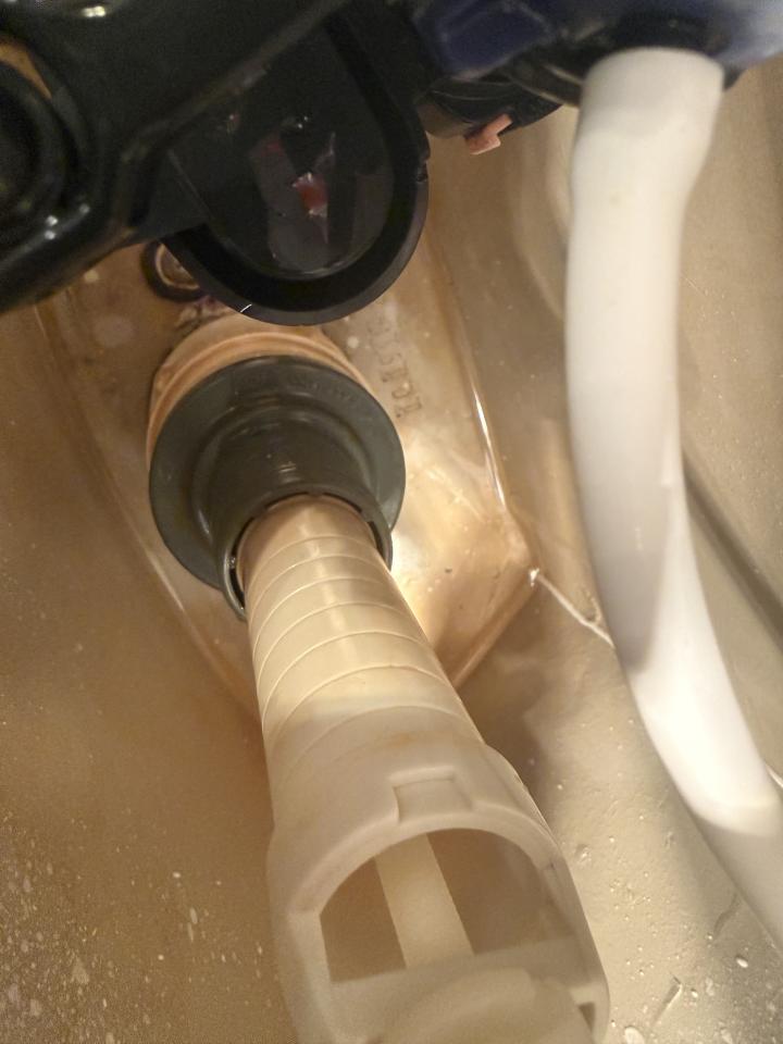 Toilet Installation & RepairJob photo