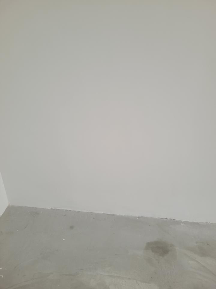 Wall PaintingJob photo