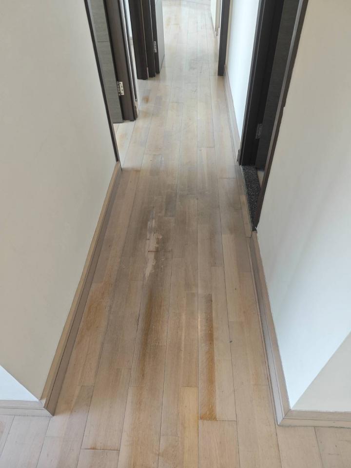 Floor PolishingJob photo