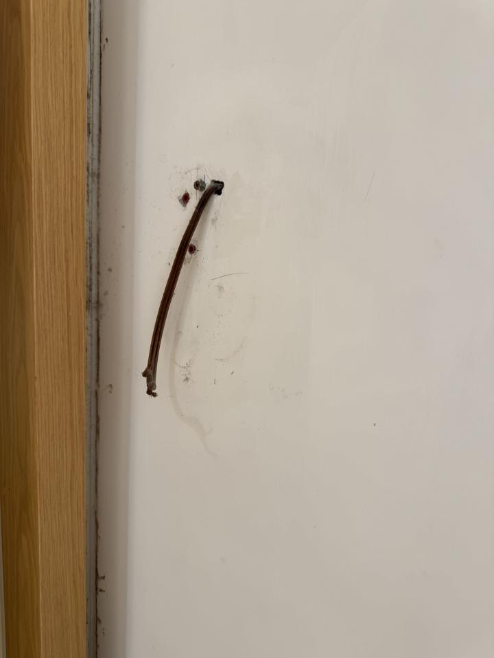 Wall PaintingJob photo