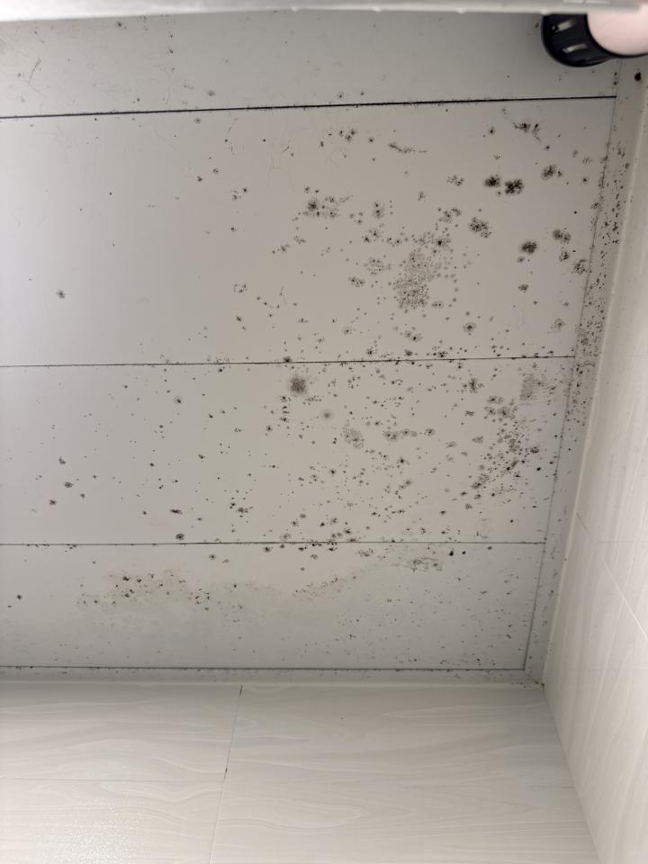 天花工程工作照片