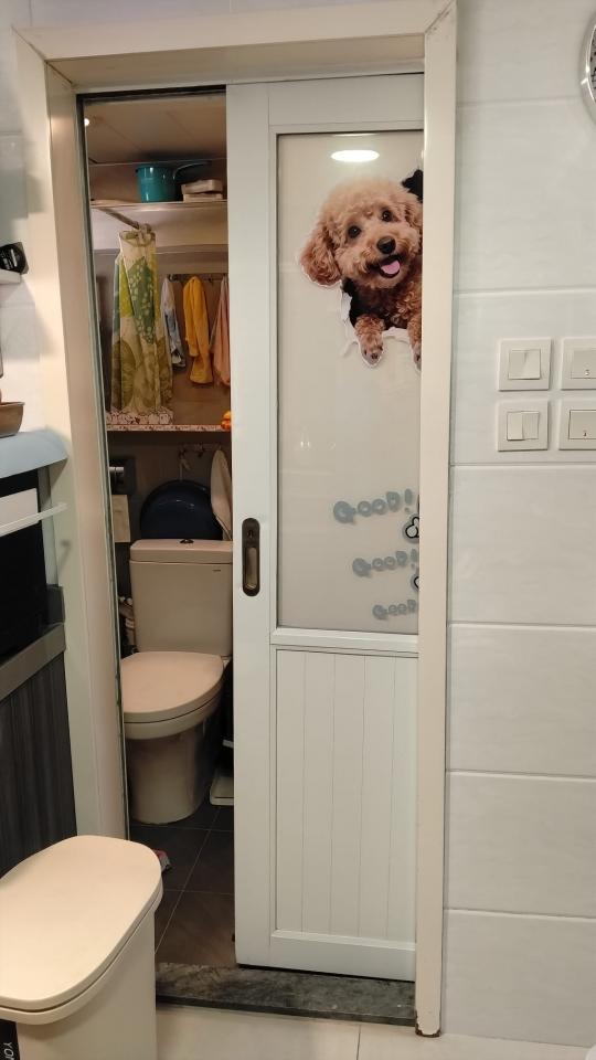 Front Door Install & Repair Job photo