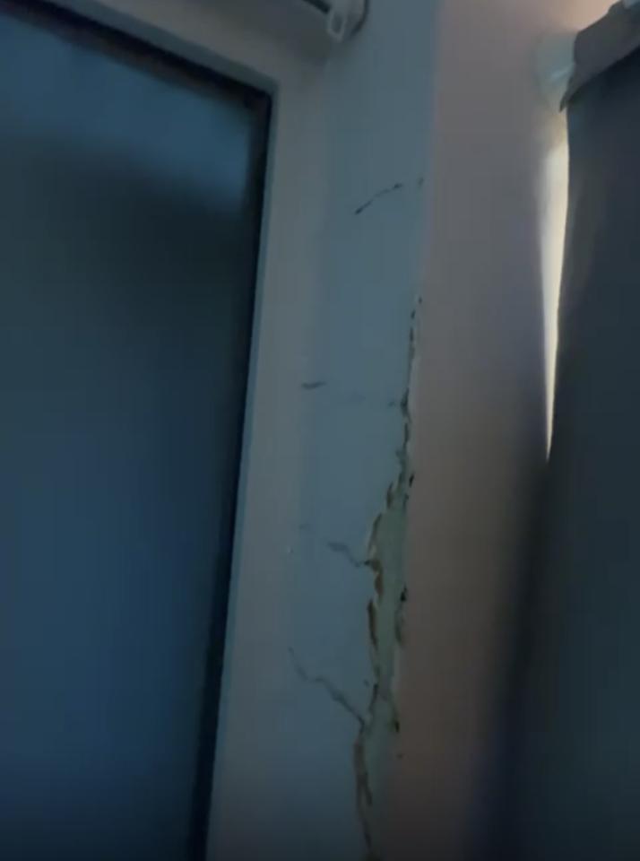 Wall PaintingJob photo