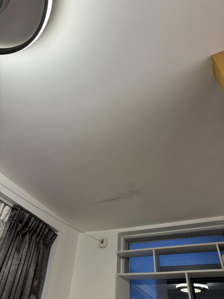 Wall PaintingJob photo