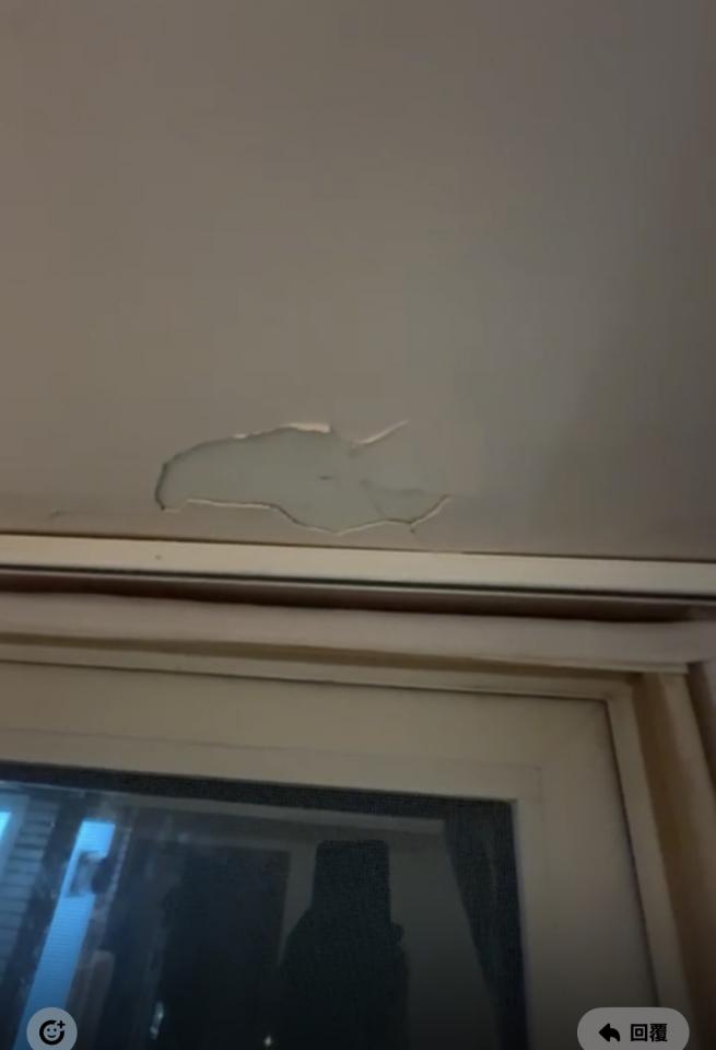 Wall PaintingJob photo