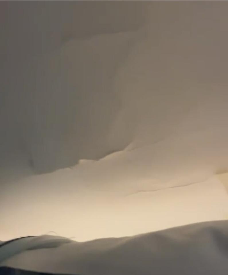 Wall PaintingJob photo