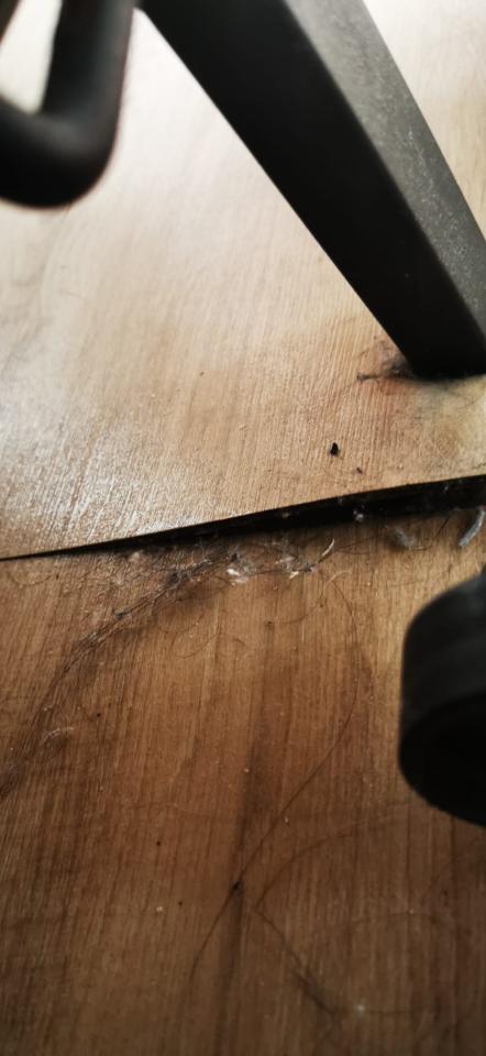 地板維修工作照片