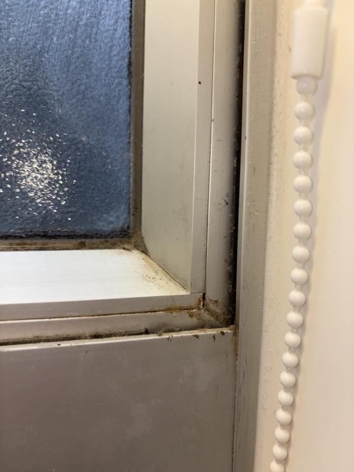 入伙前清潔工作照片