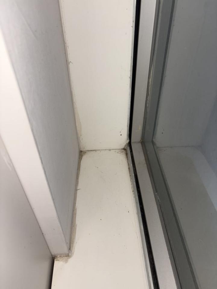 入伙前清潔工作照片