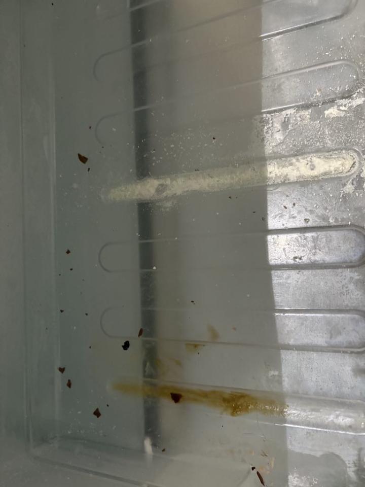 入伙前清潔工作照片