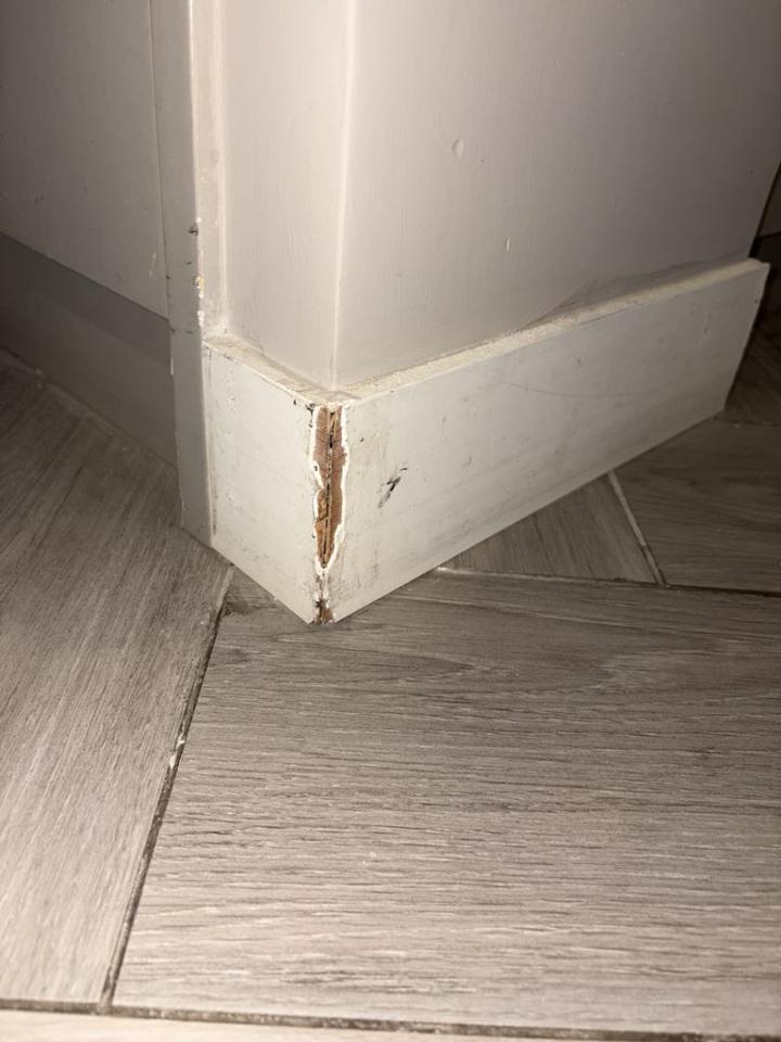 入伙前清潔工作照片