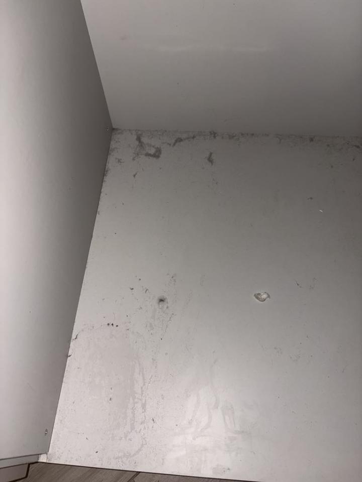 入伙前清潔工作照片